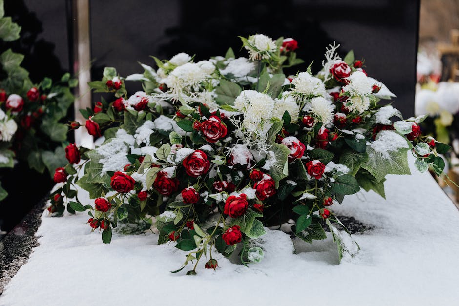  Rote Rosen Fernsehserie Wiederaufnahme